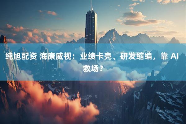 纯旭配资 海康威视：业绩卡壳、研发缩编，靠 AI 救场？