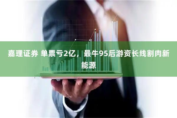 嘉理证券 单票亏2亿，最牛95后游资长线割肉新能源