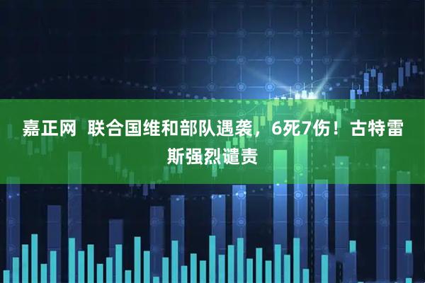 嘉正网  联合国维和部队遇袭，6死7伤！古特雷斯强烈谴责